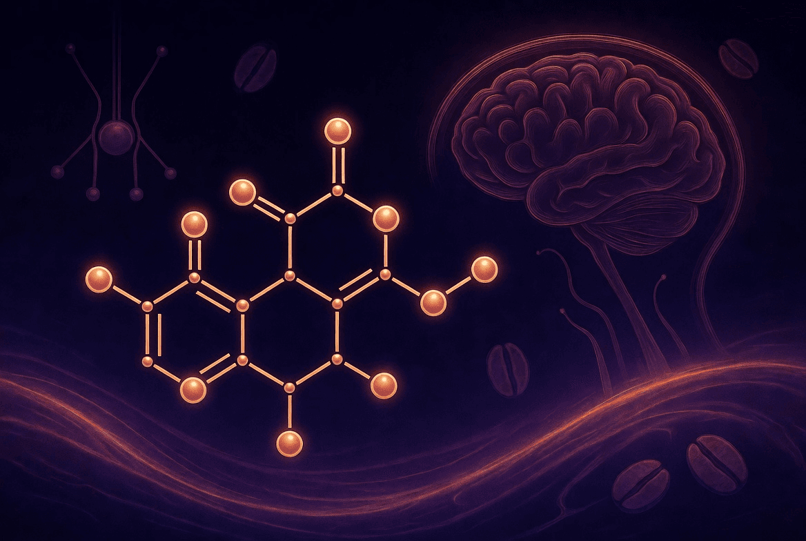 Adenosine & Sleep Pressure: The Chemistry of Tiredness
